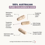 Organic Collagen Australia Pure Collagen & Liver Capsules – Muscle Strength & Vitality with Hydrolyzed Collagen, Grass-Fed Liver, and Vitamin B12 – 120 Capsules