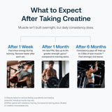 Transparent Labs Creatine HMB - Creatine Monohydrate Powder with HMB for Muscle Growth, Increased Strength, Enhanced Energy Output, and Improved Athletic Performance - 30 Servings, Unflavored