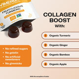 Vimergy NutriDense Fruitylicious Turmeric + Ginger Chewables (300mg Turmeric Extract, 22mg Silica, 10mg Ginger per Serving) Vegan, No Artificial Sweeteners, Mobility Support, 30 Servings (60 Count)
