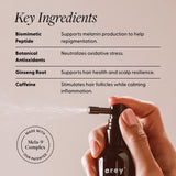Arey To The Root Hair Serum for Women & Men | Slows Grey Hair Growth & Preserves Pigment in 3–6 Months | Anti Grey Scalp Serum for Healthier, Fuller-Looking Hair | Vegan & Oil-Free Formula (1 Month)
