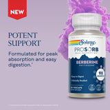 SOLARAY Berberine Phytosome - 9X Absorption and Easy-to-Digest - Standardized to 30% Berberine HCl - Vegan, Made Without Soy - 60-Day Guarantee - 30 Servings, 30 VegCaps
