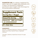 Solgar Methylcobalamin (Vitamin B12) 1000 mcg - 60 Nuggets, Pack of 2 - Supports Energy Metabolism - Non-GMO, Vegan, Gluten Free, Dairy Free, Kosher - 120 Total Servings