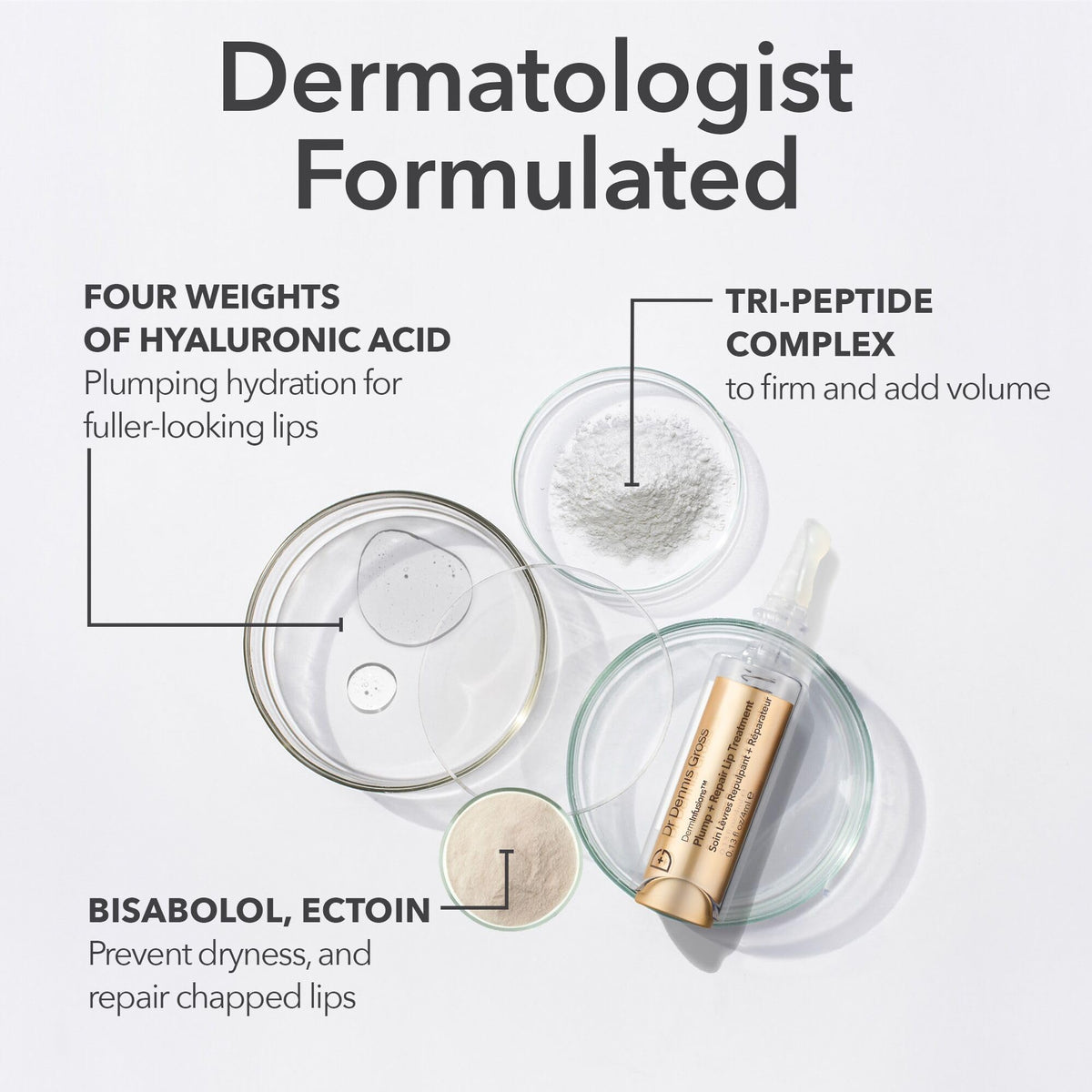 Dr Dennis Gross DermInfusions Plump + Repair Tinted Lip Treatment, Clear - Visibly Plumps & Defines Lips with Hyaluronic Acid & Peptides - Repairs Moisture Barrier - 10 mL