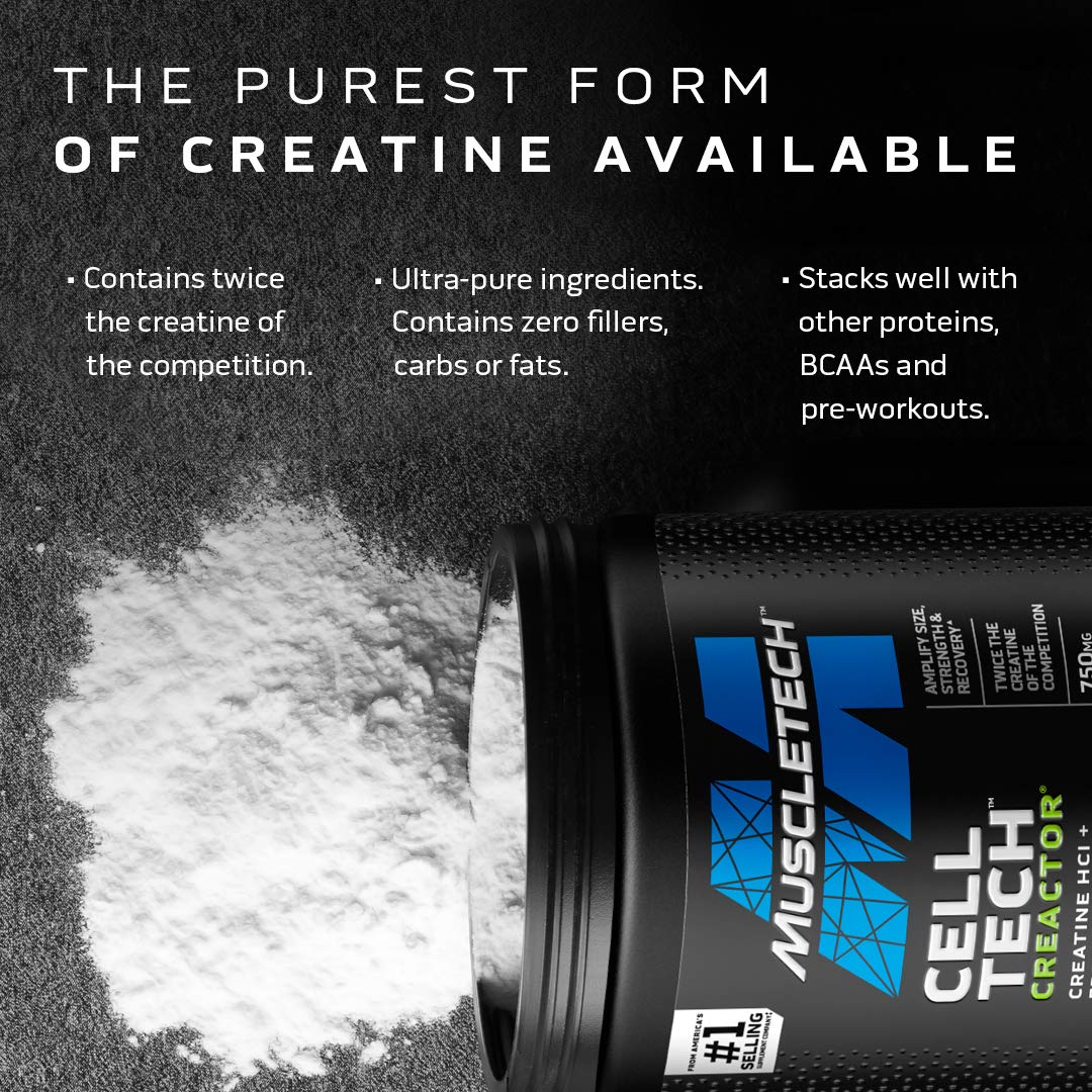 MuscleTech Cell-Tech Creactor - Creatine HCl Formula - Muscle Builder for Men & Women - Creatine HCl + Free-Acid Creatine Supplements - Fruit Punch Extreme, 120 Servings