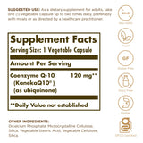 Solgar Vegan CoQ-10 120 mg - 60 Vegetable Capsules - Antioxidant Health - Non-GMO, Gluten Free, Dairy Free, Kosher - 60 Servings