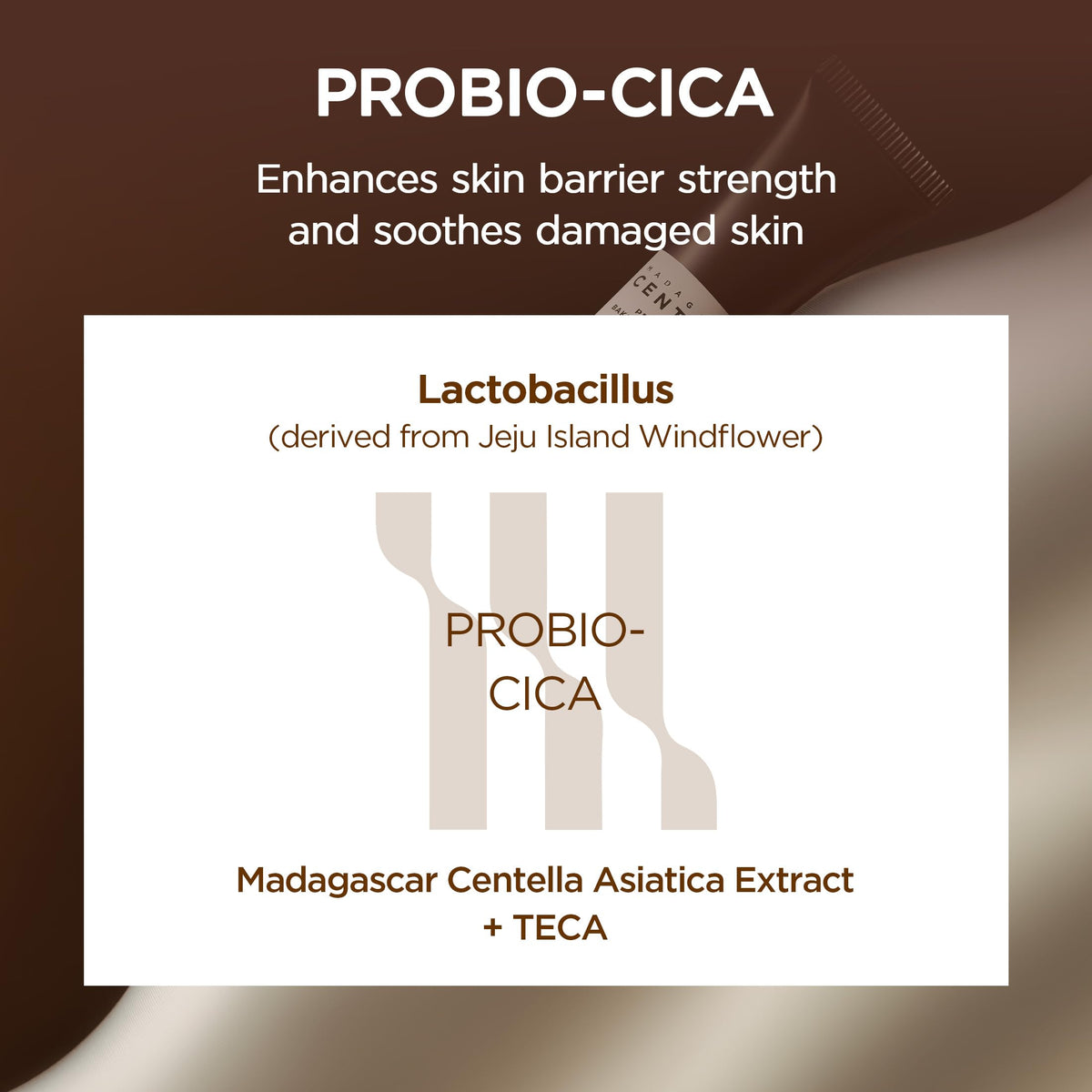 SKIN1004 Probio-Cica Bakuchiol Eye Cream Twin, Korean Under Eye Cream with Bakuchiol & Centella, Hydrating Eye Treatment for Eye Area Care, Retinol Alternative, Korean Skin Care (0.68 fl.oz * 2ea)