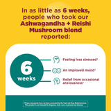 Nature Made Ashwagandha KSM 66 + Reishi Mushroom Capsules, Stress Relief Blend Ashwagandha and Mushroom Supplement, 60 Capsules, 30 Day Supply