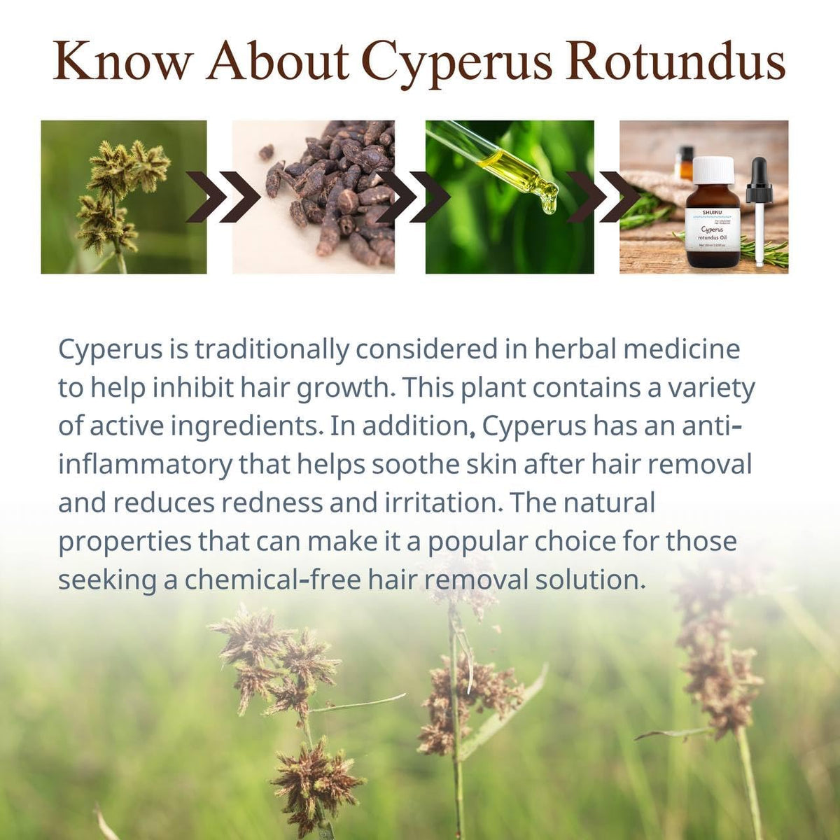 Cyperus Rotundus Oil for Hair Removal 2 PACKS – 100% Pure Natural Cyprus Oil – Organic Herbal Cypress Root Extract for Smooth Skin, Reducing Body Hair Growth, Ingrown Hair & Nourishment – 60ml