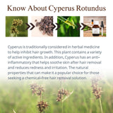 Cyperus Rotundus Oil for Hair Removal 2 PACKS – 100% Pure Natural Cyprus Oil – Organic Herbal Cypress Root Extract for Smooth Skin, Reducing Body Hair Growth, Ingrown Hair & Nourishment – 60ml