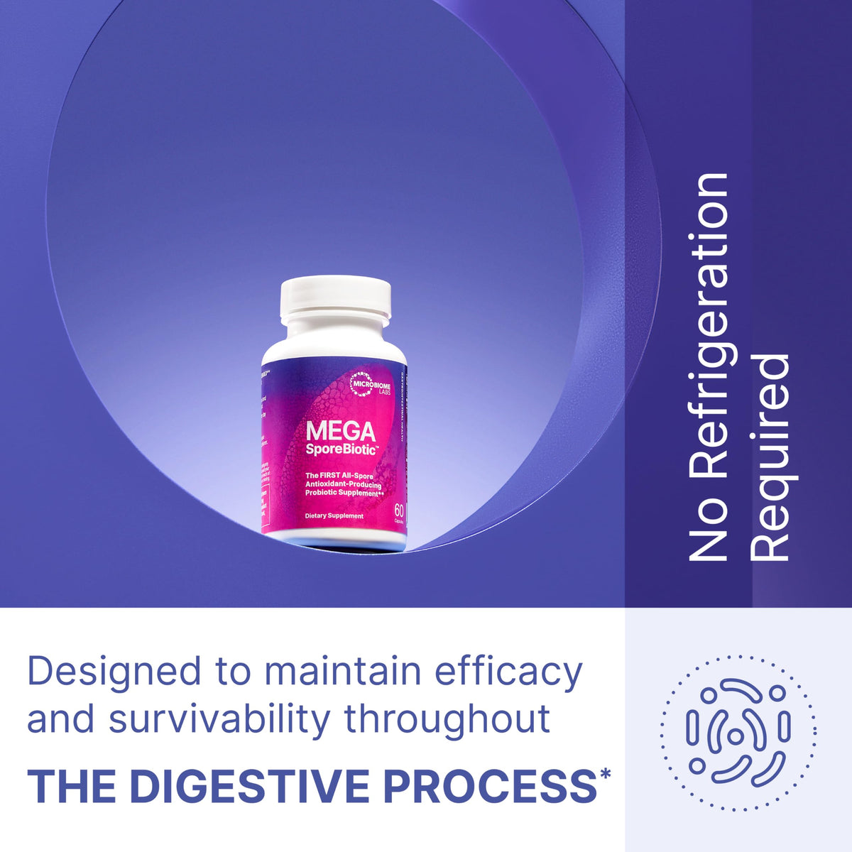 Microbiome Labs MegaSporeBiotic Probiotics for Women & Men - Spore-Based Probiotic for Gut Health & Digestive Support - Shelf-Stable, Travel-Friendly, Mens & Womens Probiotics (60 Capsules)