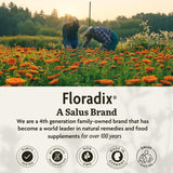 Floradix Iron & Herbs - Liquid Herbal Supplement for Energy Support - Iron Supplement with Vitamin C & Vitamin B Complex - for Men & Women - 8.5 fl oz