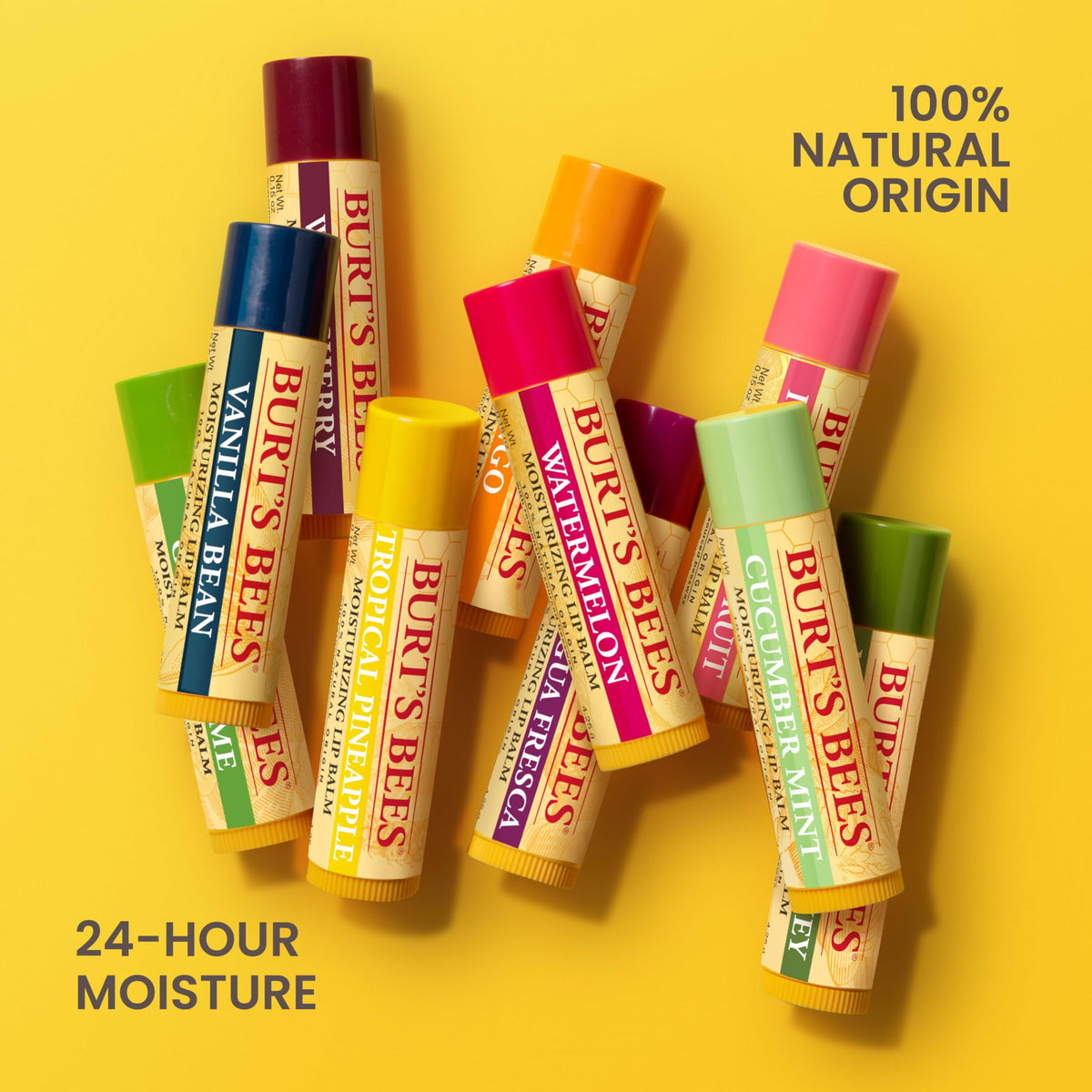 Burt's Bees Lip Balm - Vanilla Bean, Lip Moisturizer With Responsibly Sourced Beeswax, Tint-Free, Natural Origin Conditioning Treatment, 2 Tubes, 0.15 oz.