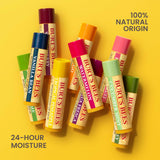 Burt's Bees Lip Balm - Vanilla Bean, Lip Moisturizer With Responsibly Sourced Beeswax, Tint-Free, Natural Origin Conditioning Treatment, 2 Tubes, 0.15 oz.
