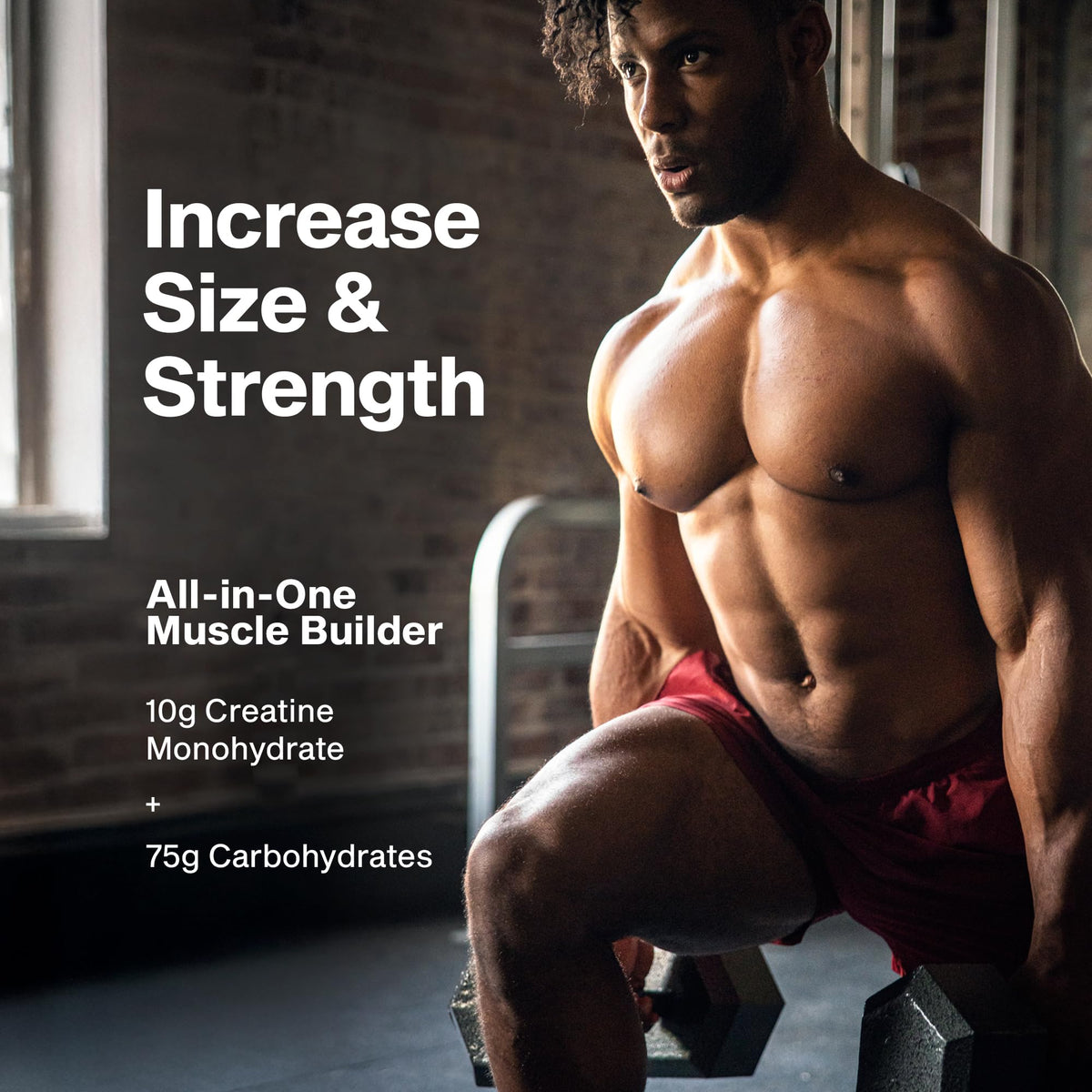 MuscleTech Creatine Monohydrate Powder Cell-Tech Creatine Post Workout Recovery Drink Muscle Builder For Men & Women Muscle Building Supplements Fruit Punch, 3 lbs (27 Serv)