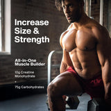 MuscleTech Creatine Monohydrate Powder Cell-Tech Creatine Post Workout Recovery Drink Muscle Builder For Men & Women Muscle Building Supplements Fruit Punch, 3 lbs (27 Serv)