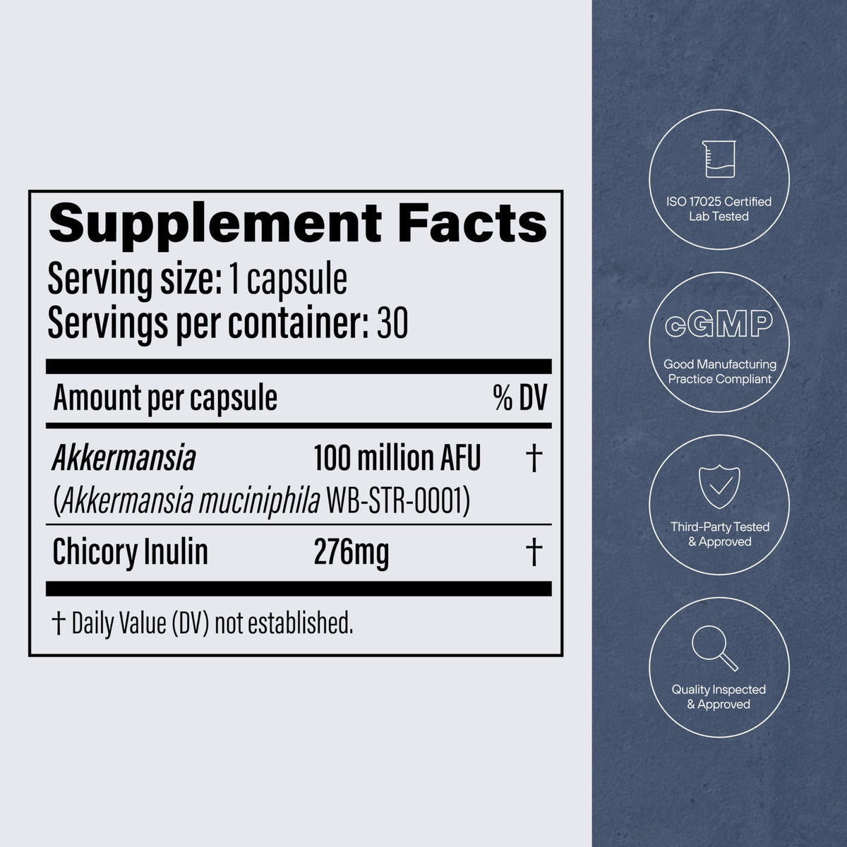 Pendulum Akkermansia Probiotic with Prebiotic Fiber - Increases GLP-1 Production, Delayed Release, Third-Party Tested, 100M AFU Live Strain for Gut Health for Men & Women (30 Capsules, 1-Pack)